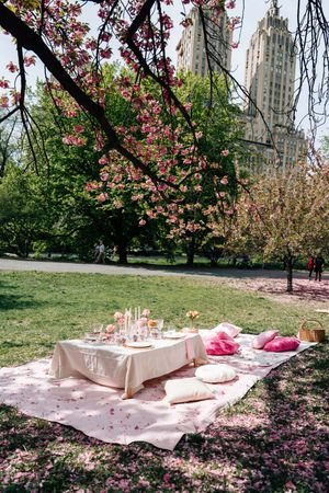 Elegant outdoor picnic setup with pink blossoms, blanket, pillows, and table in Central Park with NYC skyline backdrop.