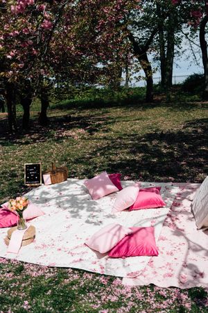 Pink pillows on white blanket under blooming cherry blossom trees for an elegant outdoor spring picnic.