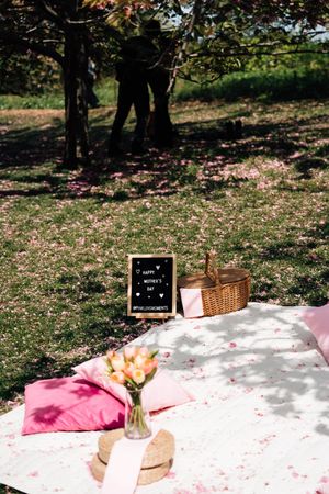 Outdoor Mother's Day picnic setup with tulips, wicker basket, pink pillows, and chalkboard sign on white blanket.