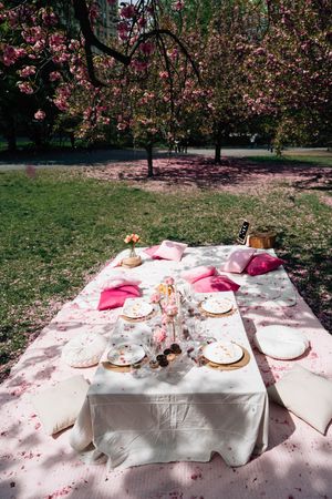 Elegant outdoor picnic setup with pink pillows and table settings under blooming cherry blossom trees in a sunny park.