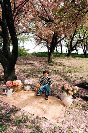 Child sitting on a rug under blooming pink cherry blossom trees, surrounded by floral arrangements in a serene park setting.