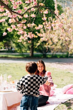 Boy in checkered sweater gives pink rose to smiling girl at outdoor picnic under blooming cherry blossom tree.