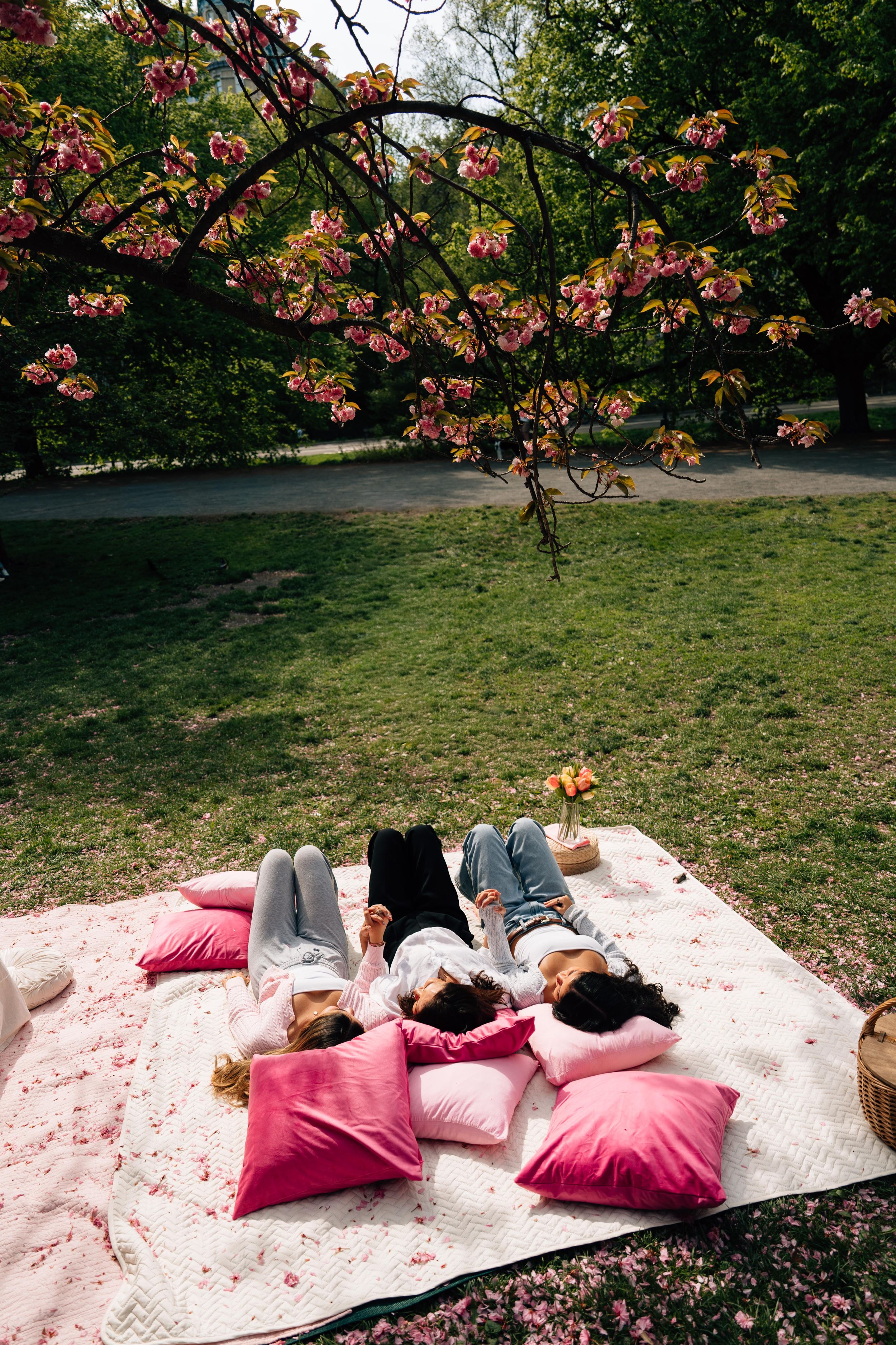 Three friends lying on pink pillows on a blanket under a blooming cherry blossom tree in a park.