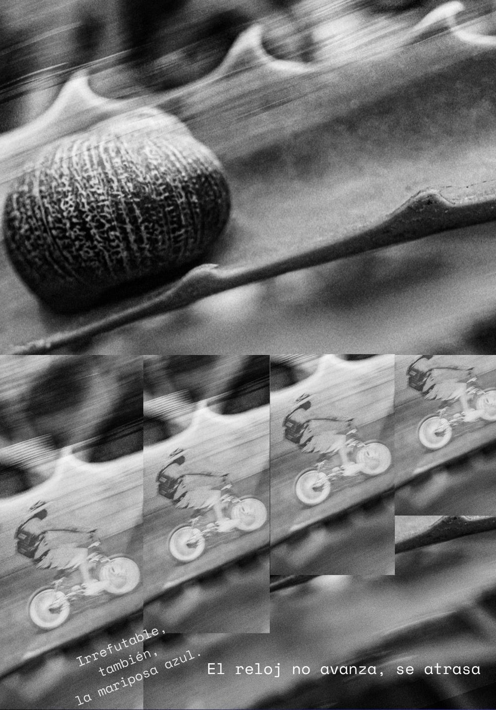Taller de fotografía surrealista, escritura, bitácora creativa y collage en línea - Gabriel Indra Camargo Indraxus