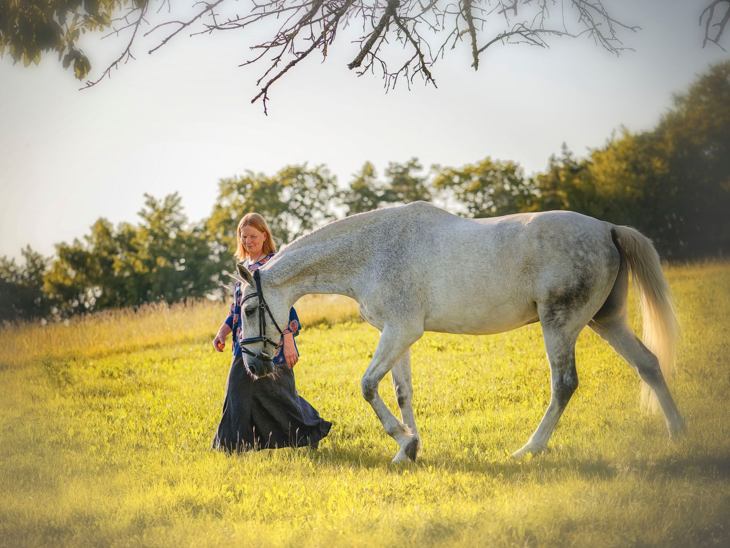 Ästhetisches Pferde-Shooting mit einem Schimmel in der Natur. Professionelle Tierfotografie von der Lichtkapsel.