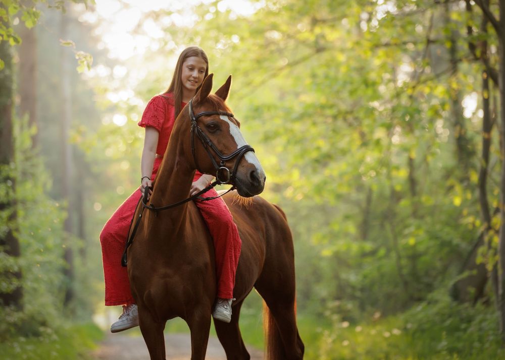 Paardenfotografie Twente - LivHoomansPhotography