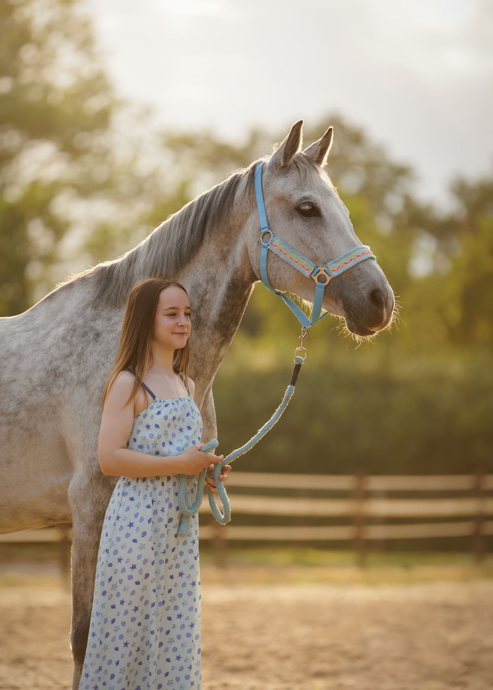 Paardenfotografie Twente - LivHoomansPhotography