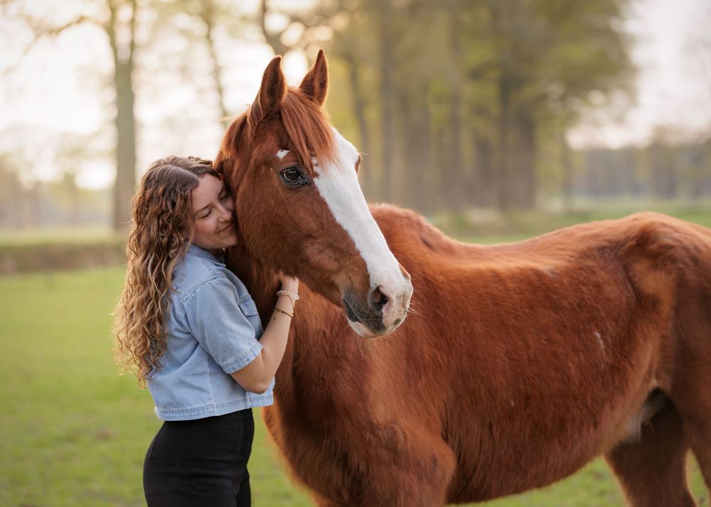 Paardenfotografie Twente - LivHoomansPhotography