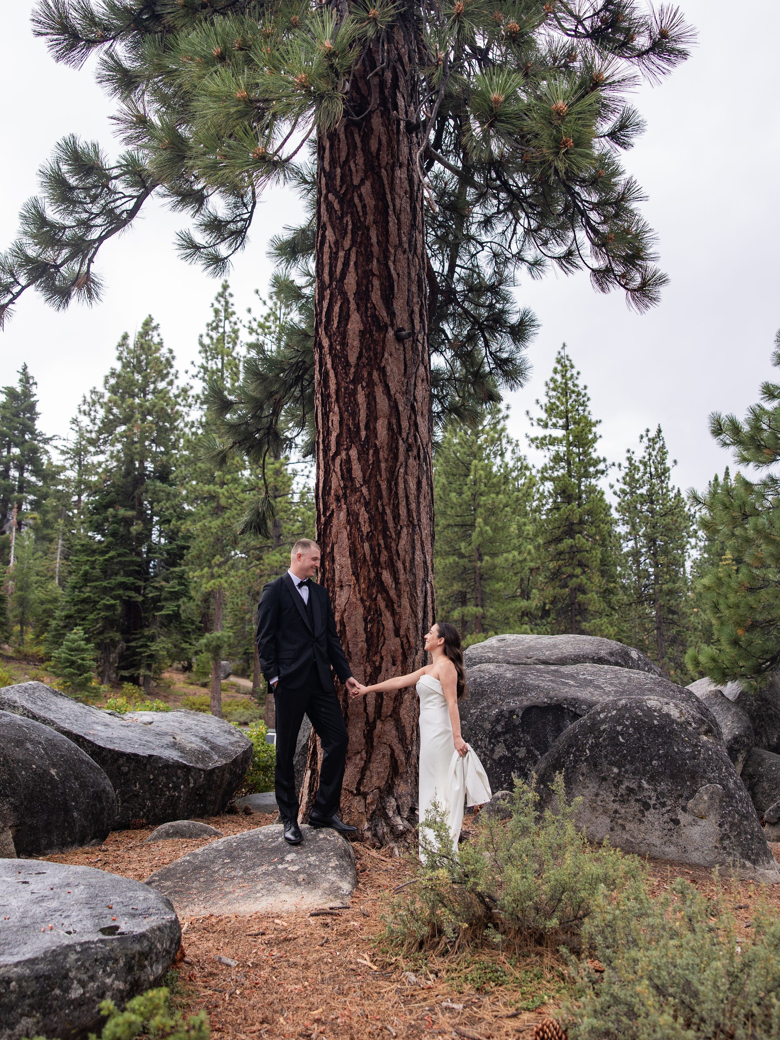 Bride in white gown and groom in black tuxedo posing beside a towering pine tree in a rocky Tahoe forest.