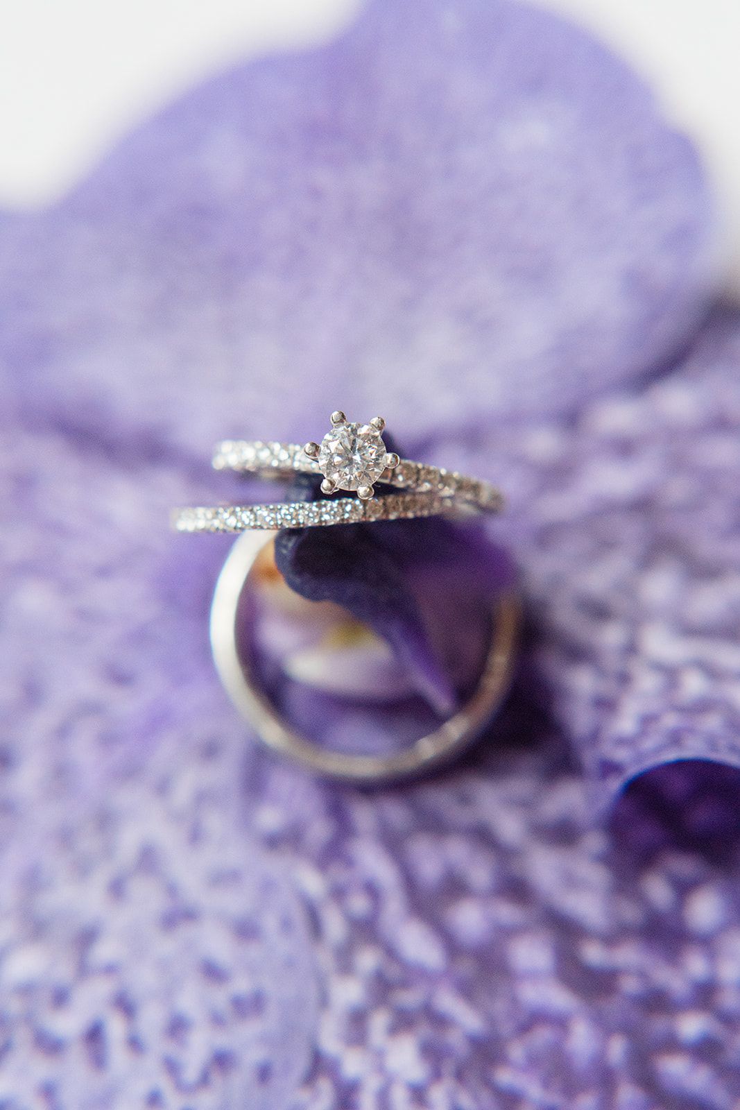A delicate diamond engagement ring shown from multiple angles on a purple textured background.