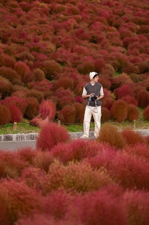A figure stands among vibrant red kochia bushes in a Japanese autumn garden landscape.