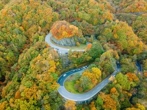 Aerial view of a winding mountain road surrounded by vibrant autumn foliage in yellow and orange hues.