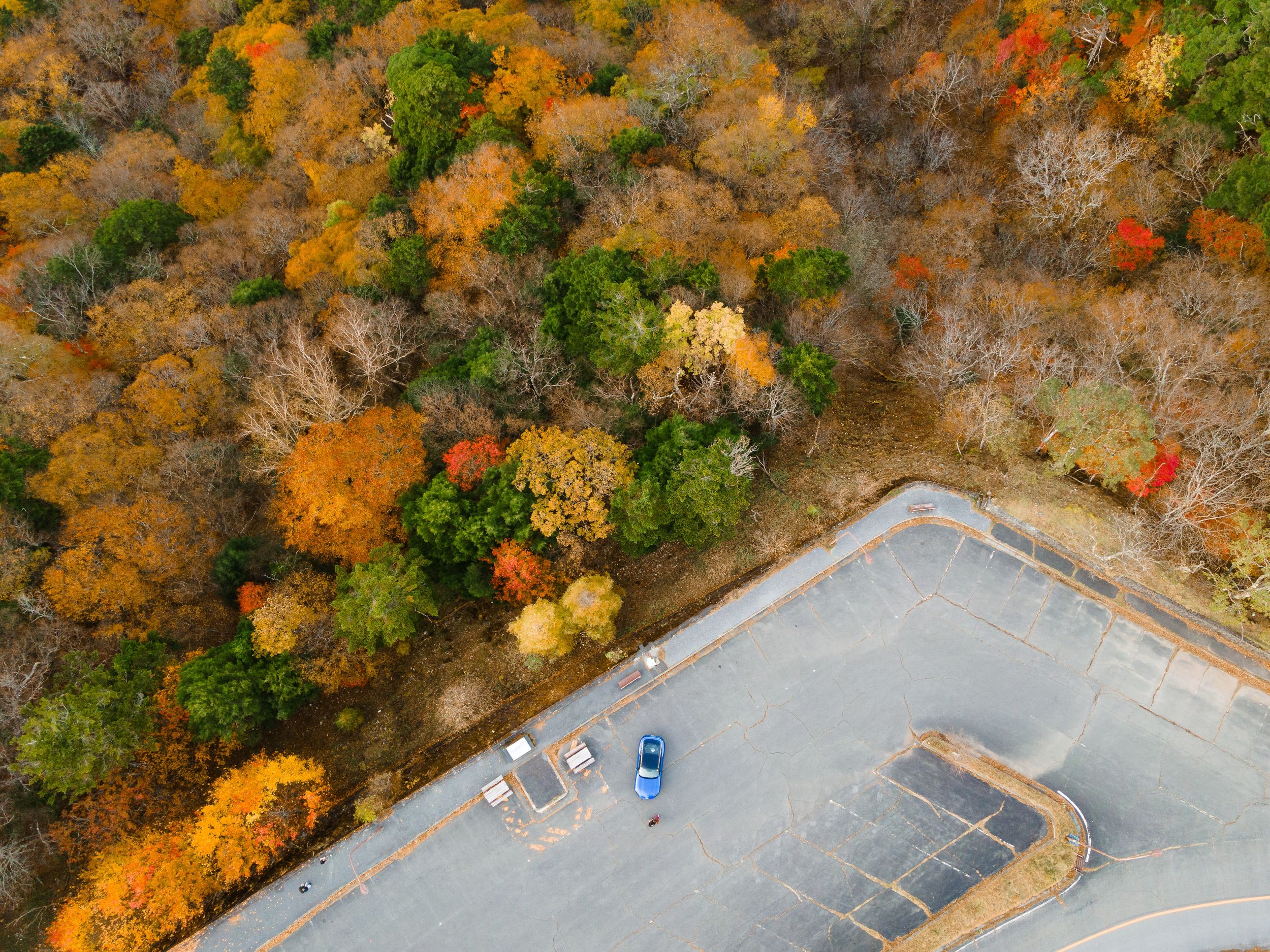 Aerial view of a parking lot surrounded by vibrant autumn foliage in orange, yellow and green trees.