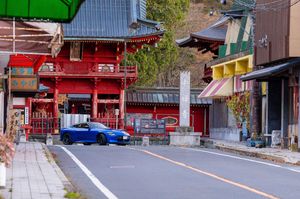 A panoramic view of a traditional Japanese temple complex with red and green buildings nestled among trees.