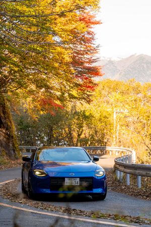 A sleek blue Ferrari Roma sports car parked on an autumn road with golden foliage overhead.