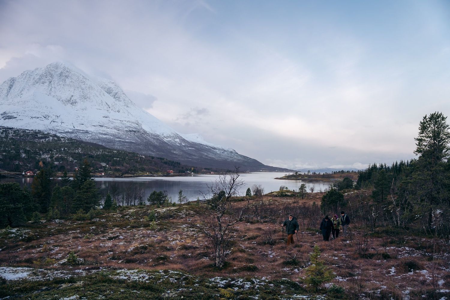 randonnée en groupe dans la toundra à tromso