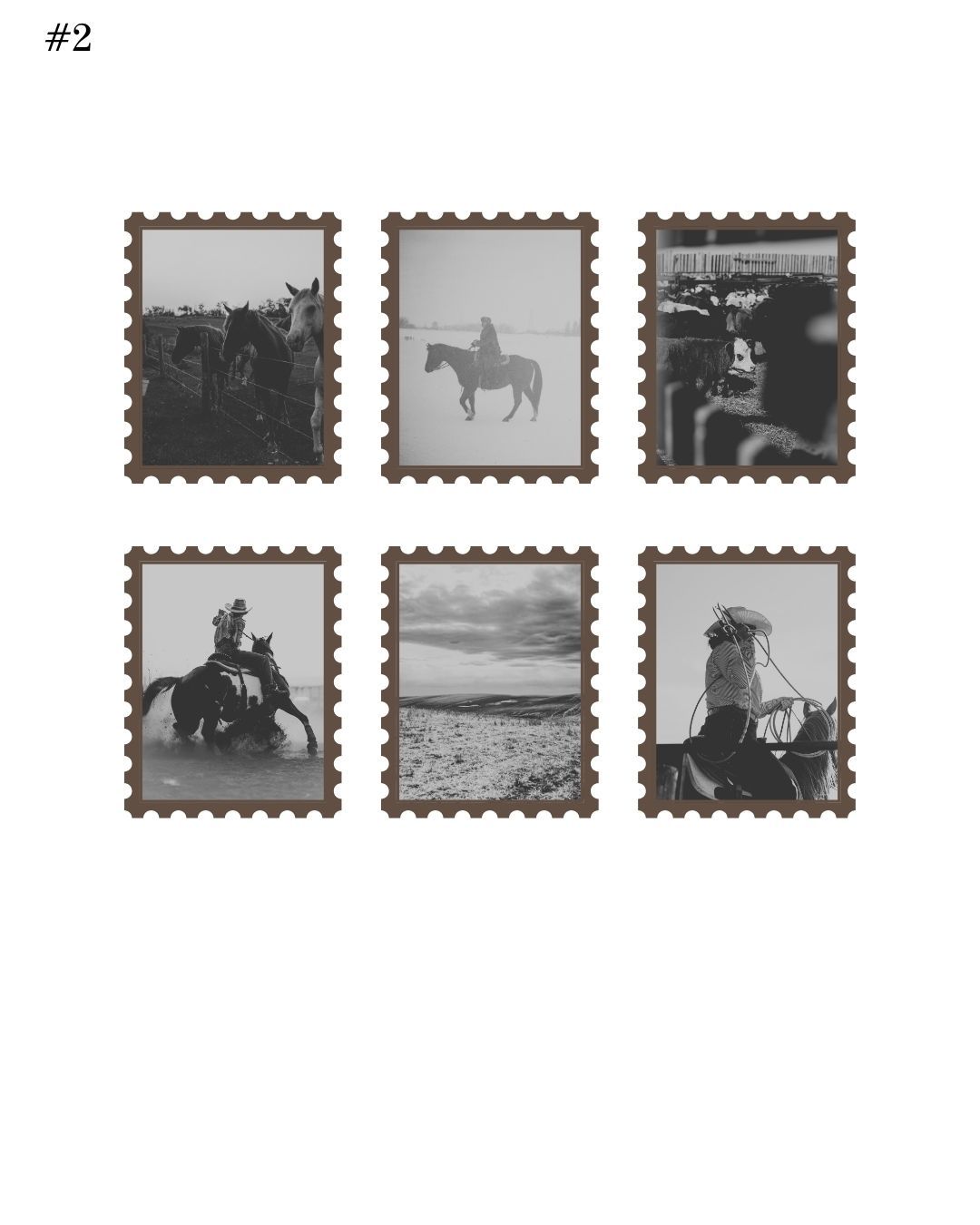 A sequence of circular images shows someone on horseback performing rope tricks against a light-colored sky background.