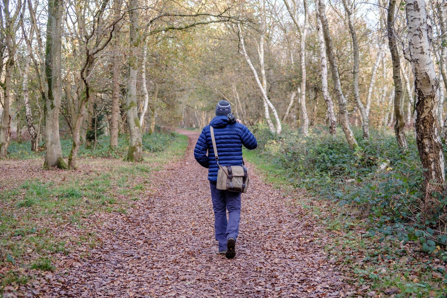People walking along a winding forest trail covered in fallen autumn leaves with bare trees on both sides.
