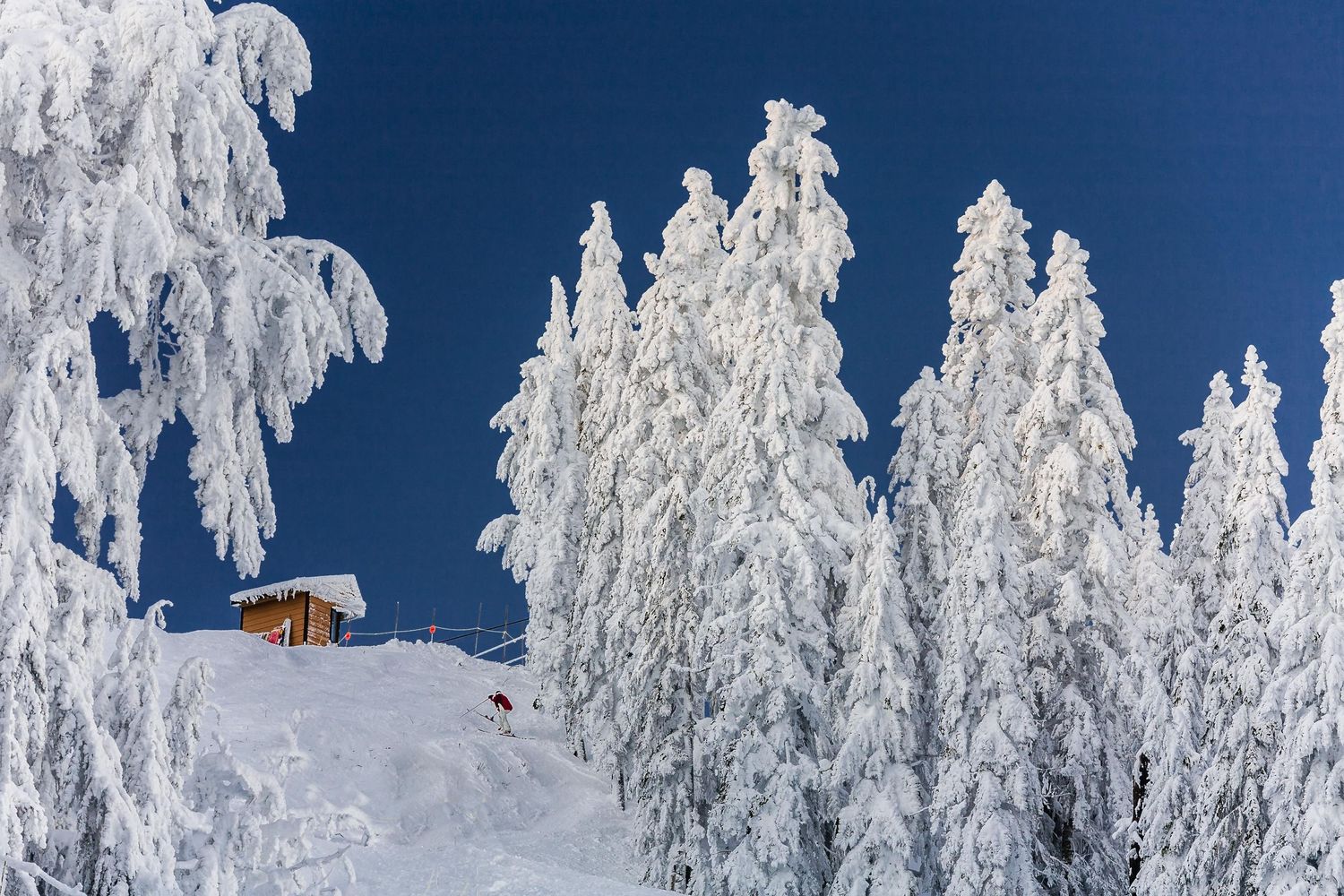 North Vancouver, Cypress Bowl, Ski Resort