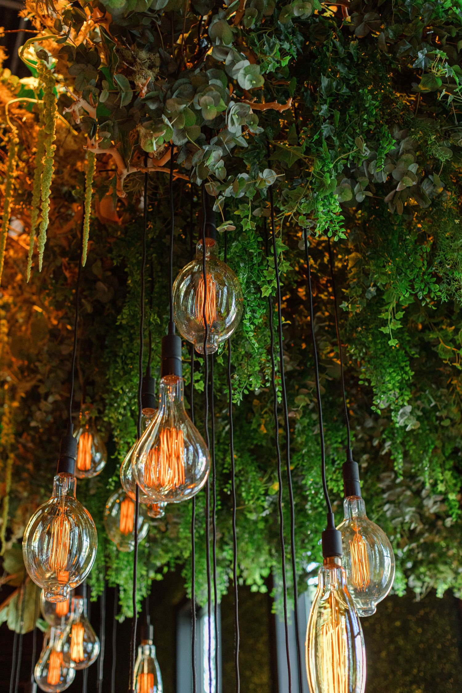Decorative Edison bulbs hang among cascading greenery creating a romantic atmosphere.