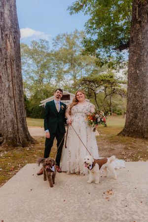 A wedding couple walks outdoors with their dogs on a tree-lined path.