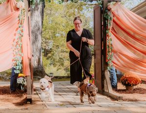A rustic outdoor wedding scene with coral draping and trees in the background.