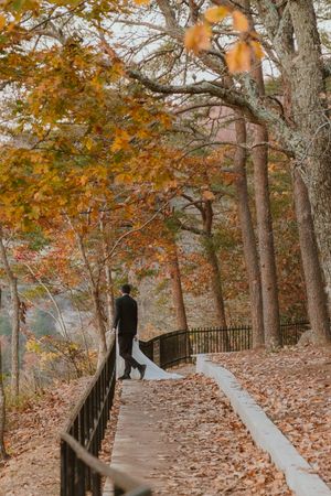 Scenic autumn path with wooden railings covered in fallen orange leaves.