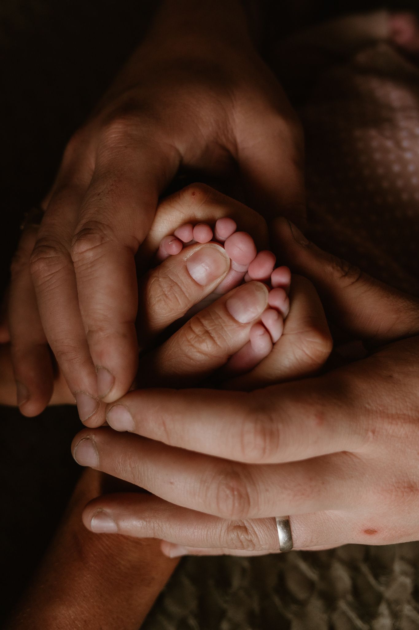 newbornphotography session