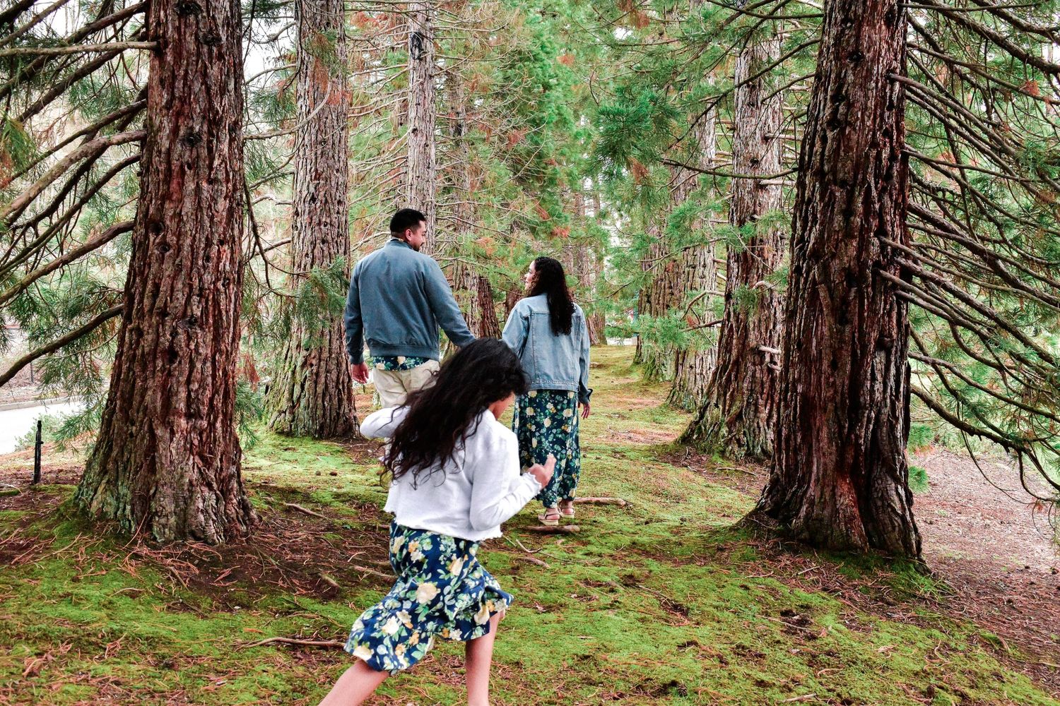 Seattle family photography. Family walks along a forest path surrounded by tall pine trees and green mossy ground.