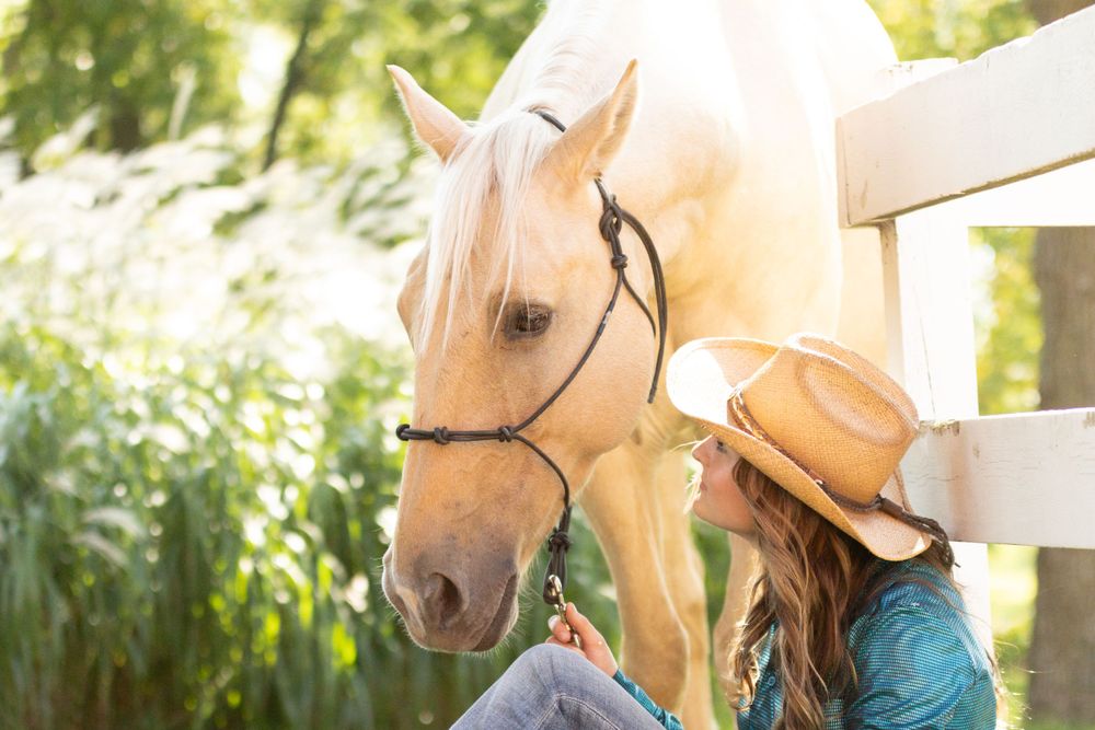 Palomino horse and handler share quiet moment by white fence in golden sunlight.