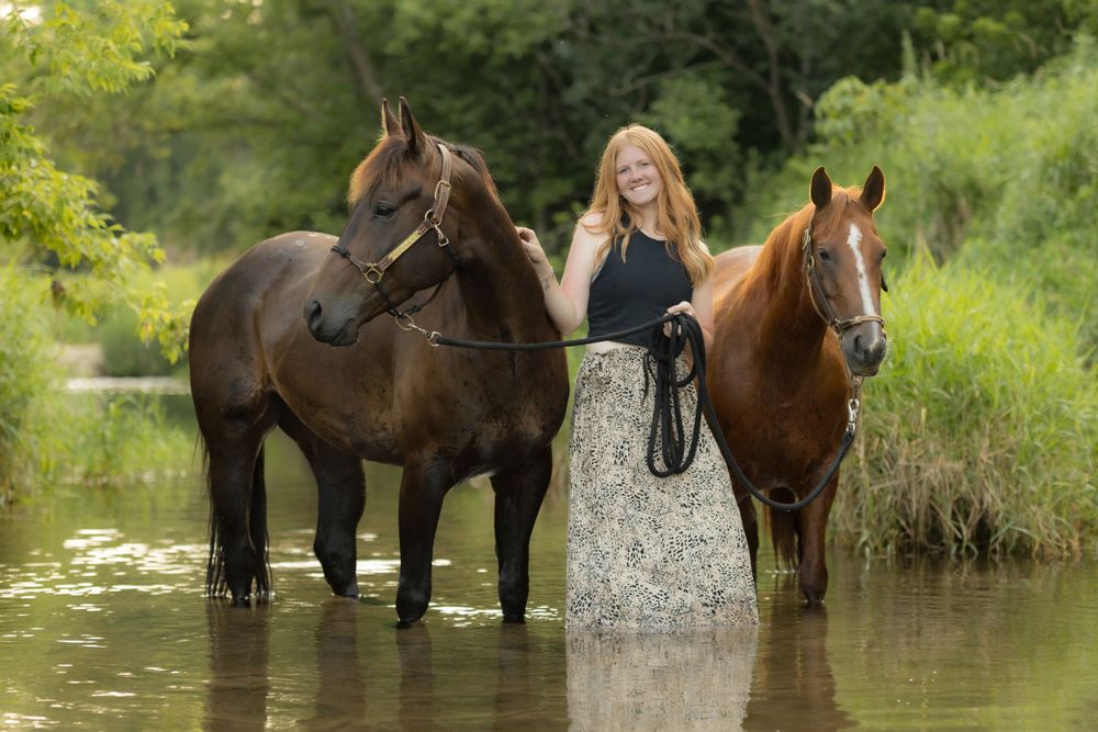 Three horses and rider stand in shallow water surrounded by lush greenery.