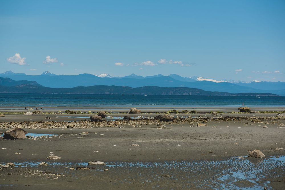 Vancouver Island Elopement Photographer