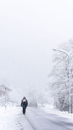 Person walking alone on snowy road during winter storm with white trees and lampposts.