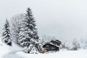Snow-covered pine trees surround a rustic wooden cabin in winter wonderland setting.