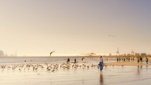 People and seagulls on beach at sunset with city skyline in background.