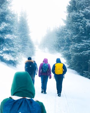 Group of hikers walking on snowy forest trail wearing colorful winter gear.