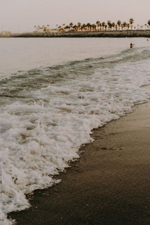 Waves crash onto a sandy beach with palm trees lining the distant shore.