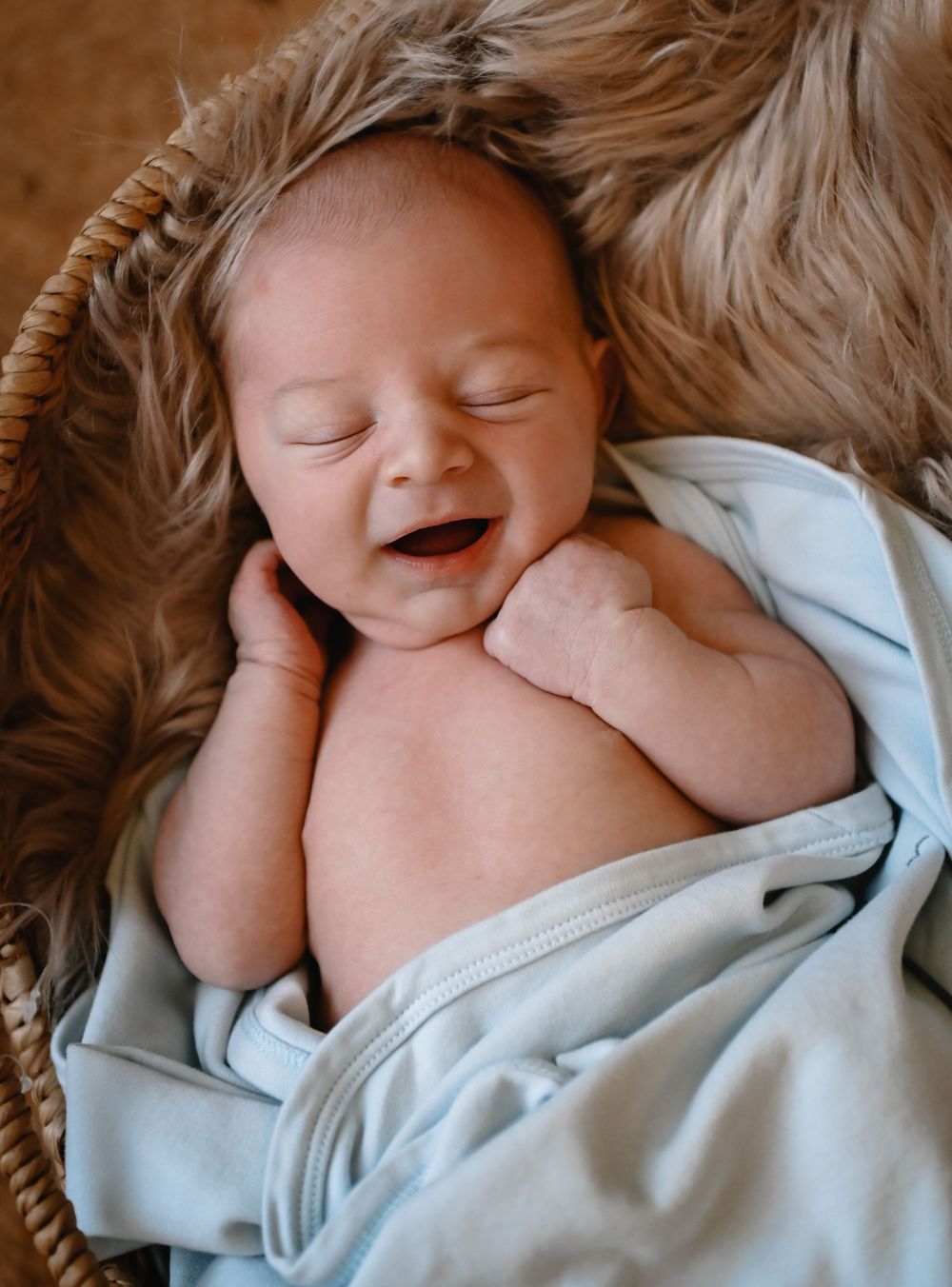 Auburn Ma newborn photographer