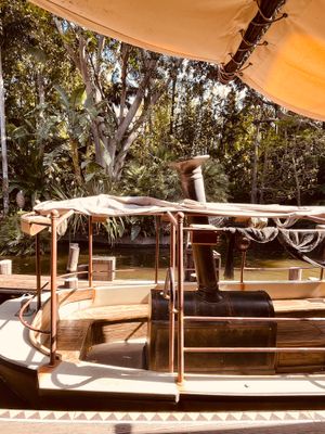 A rustic wooden riverboat with a canvas canopy cruises past eucalyptus trees along a tranquil waterway in warm sunlight.