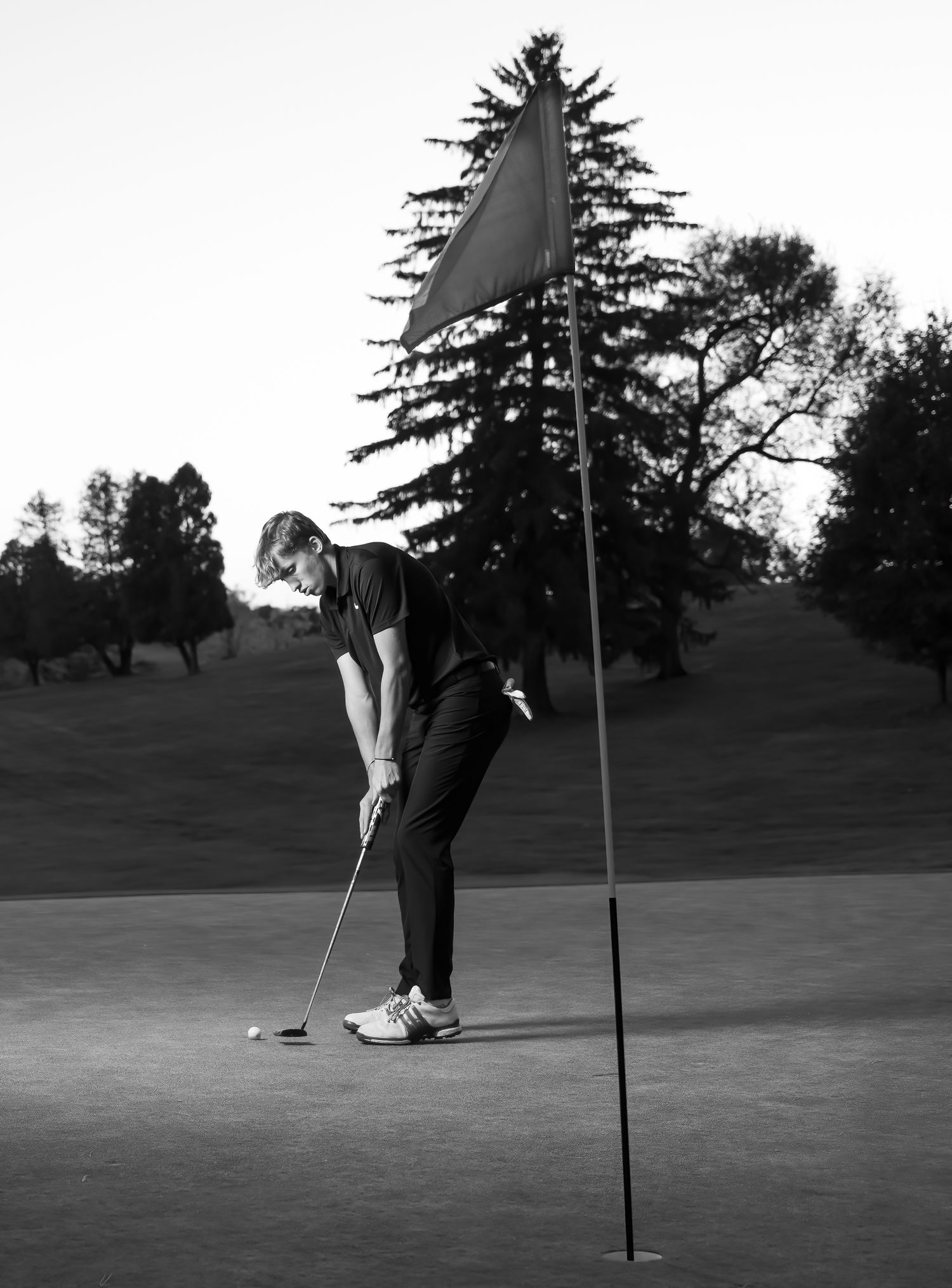 Black and white photo of golfer lining up putt on golf course green.