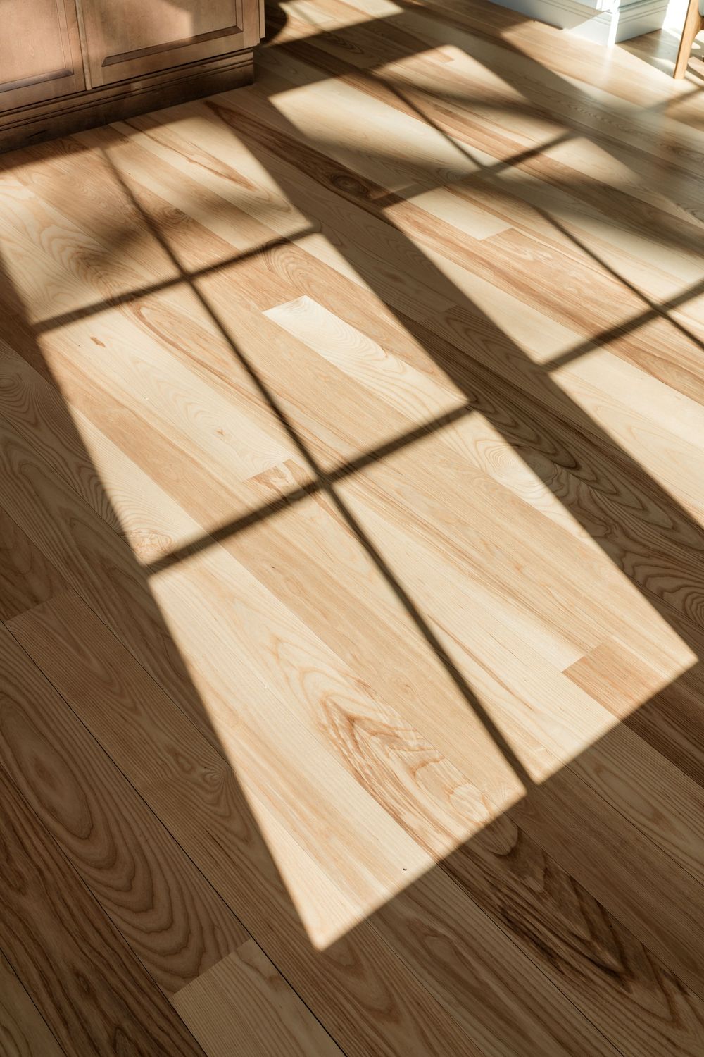Warm sunlight casting window shadow patterns across light oak hardwood flooring.