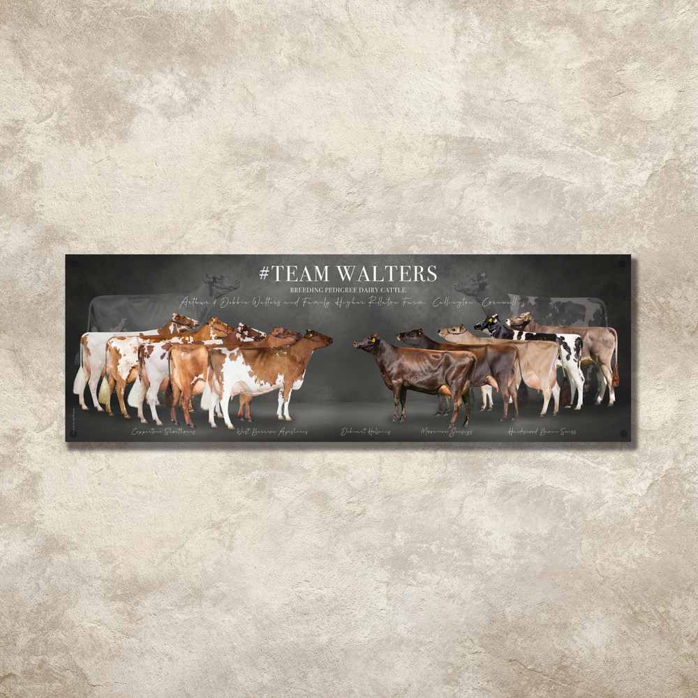 6x2ft Banner