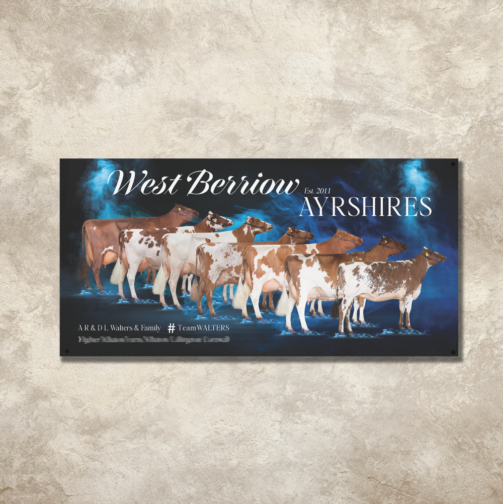 6x3ft Banner