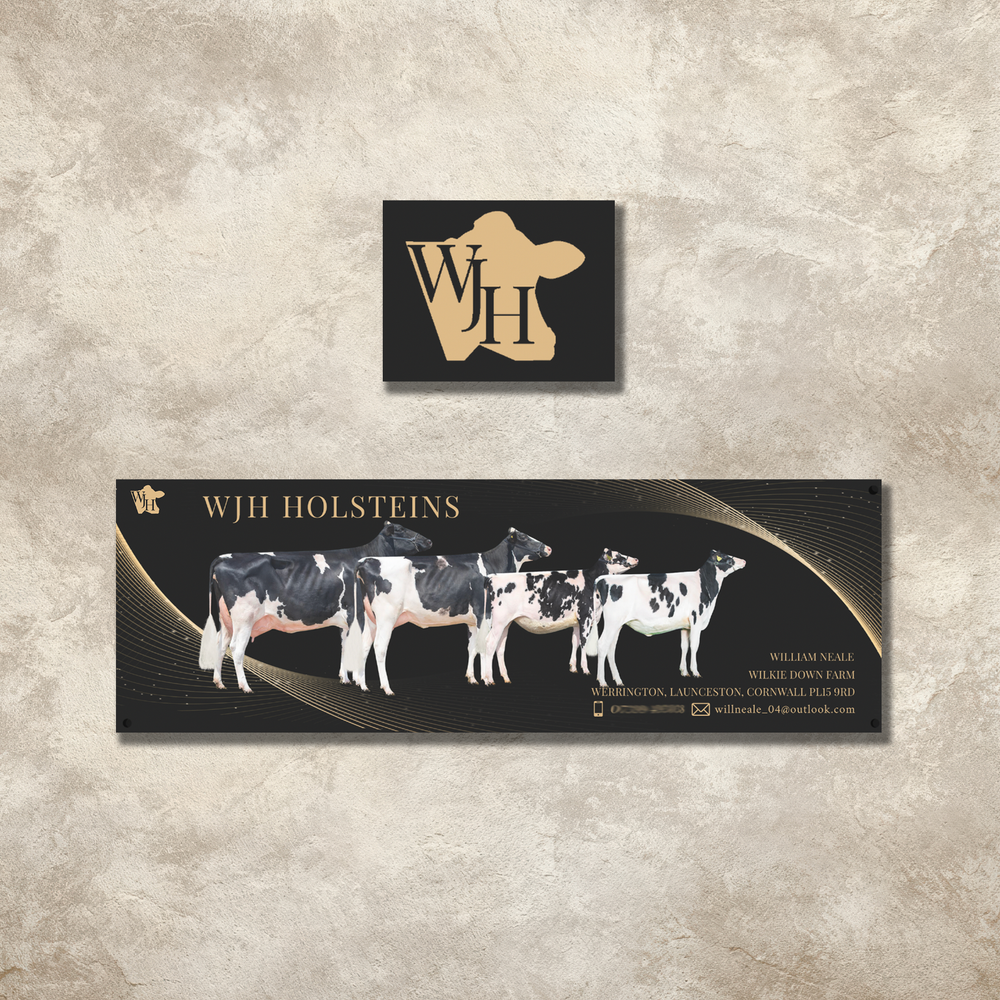 Banner & Logo combo