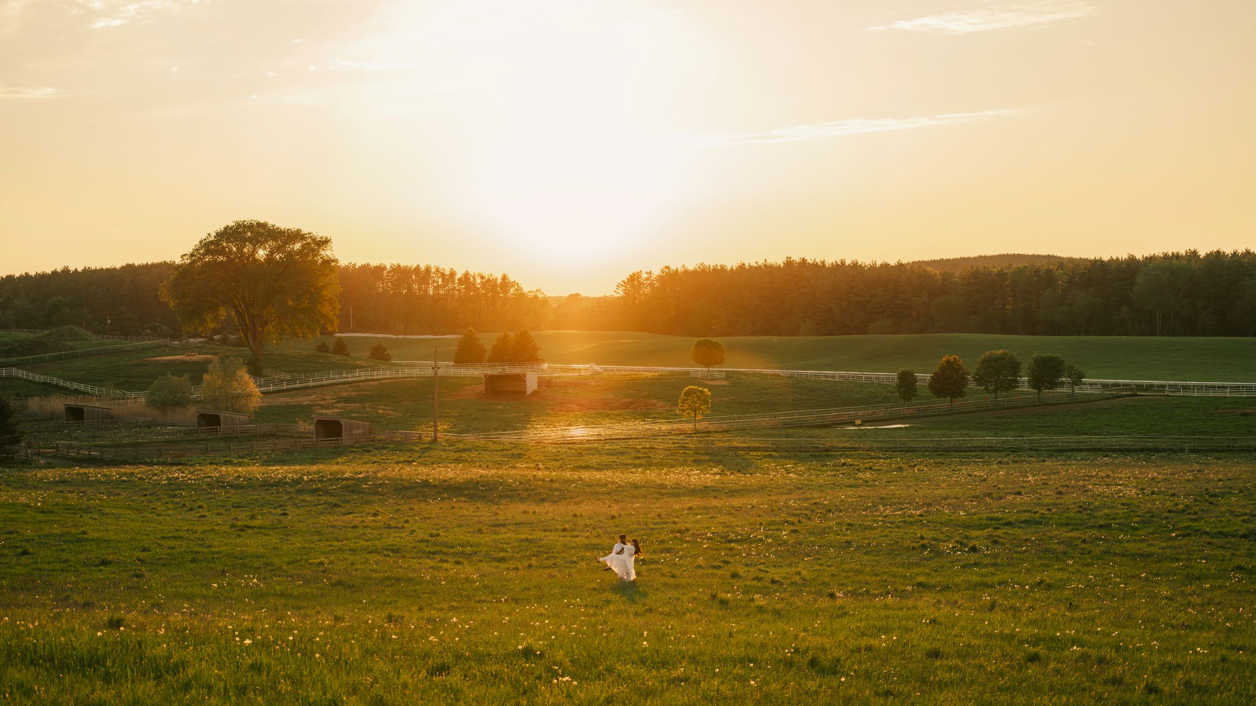 A bride in a white dress stands in a sunlit green meadow at golden hour with trees and hay bales in the background.
