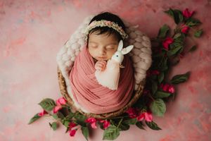Newborn photography Melbourne, floral photoshoot with small toys