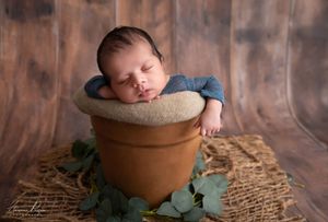 Newborn photography Melbourne, baby curled up sleeping pose studio
