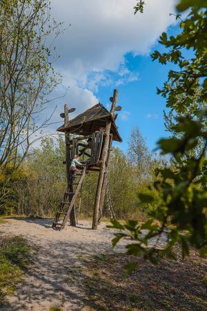 Ein Klettergerüst und grüne Natur im Vordergrund