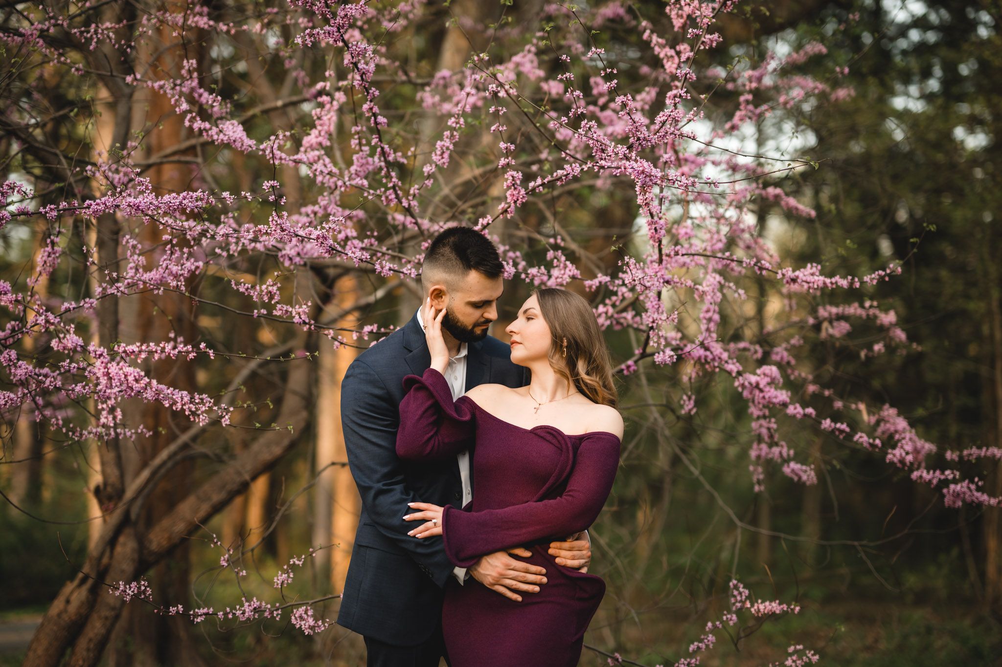 Couple embracing under blooming pink cherry blossom tree in romantic outdoor setting.
