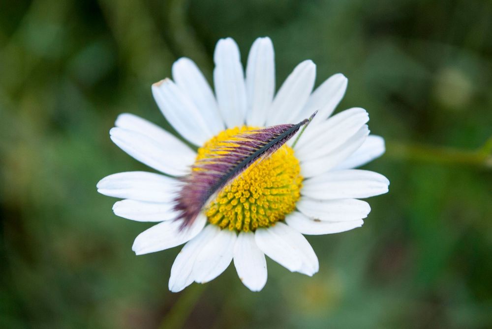 Nature Shots - Prints available @PhotosbyJennRoberts
